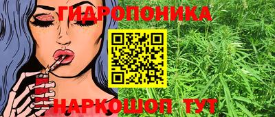 кокс Кунгур
