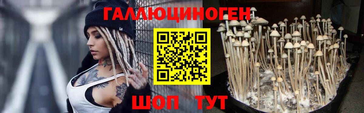 Псилоцибиновые грибы Cubensis  Вход с VPN  Коломна  Галлюциногенные грибы мицелий 